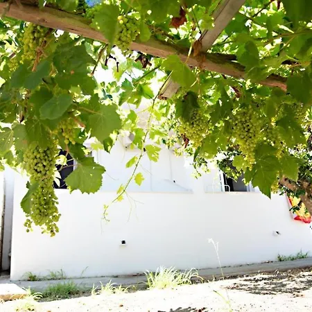 Apartment El Verano Kardamena (Kos)